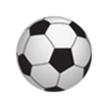张家界队